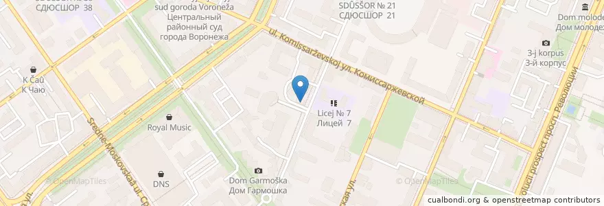Mapa de ubicacion de СДЮСШОР № 23 en ロシア, 中央連邦管区, Воронежская Область, Городской Округ Воронеж.
