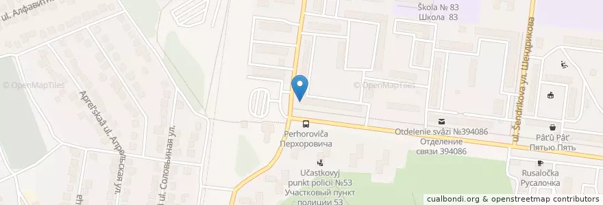 Mapa de ubicacion de Библиотека семейного чтения  № 22 им. И.А.Бунина en Russia, Central Federal District, Voronezh Oblast, Voronezh.