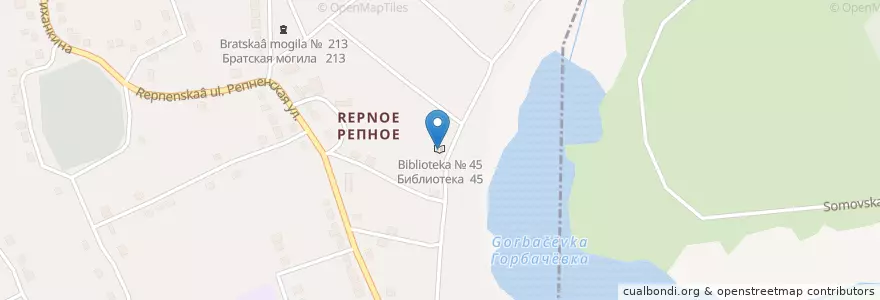 Mapa de ubicacion de Библиотека № 45 en Russland, Föderationskreis Zentralrussland, Oblast Woronesch, Городской Округ Воронеж.