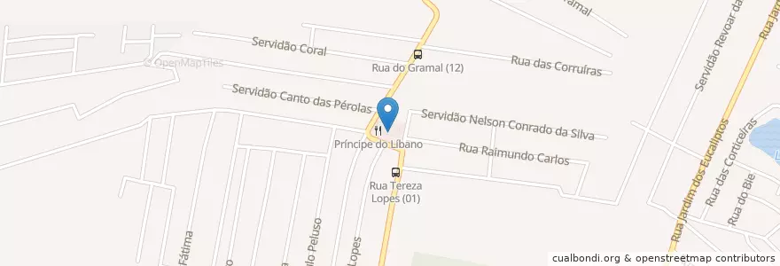 Mapa de ubicacion de Farmácia Castanheiras en Brasil, Región Sur, Santa Catarina, Microrregião De Florianópolis, Região Geográfica Intermediária De Florianópolis, Florianópolis.