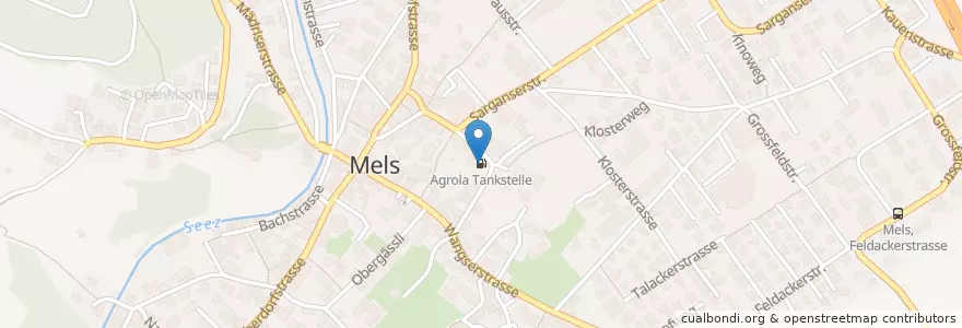 Mapa de ubicacion de Agrola Tankstelle en Svizzera, San Gallo, Wahlkreis Sarganserland, Mels.