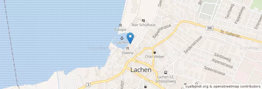 Mapa de ubicacion de The Steakhouse en Schweiz/Suisse/Svizzera/Svizra, Schwyz, March, Lachen.