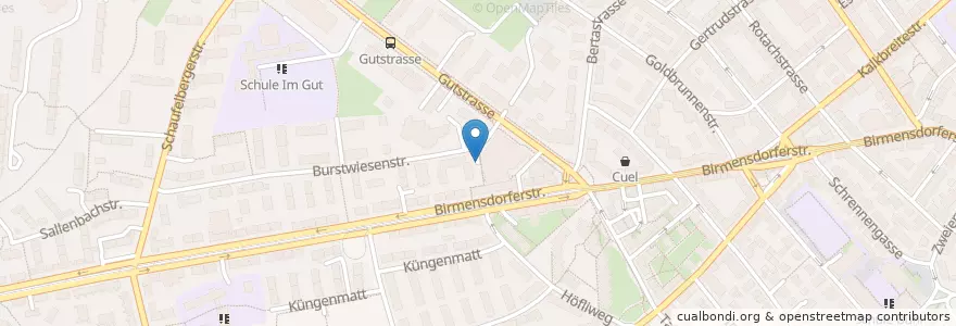 Mapa de ubicacion de Wiediker Markt en Svizzera, Zurigo, Distretto Di Zurigo, Zurigo.