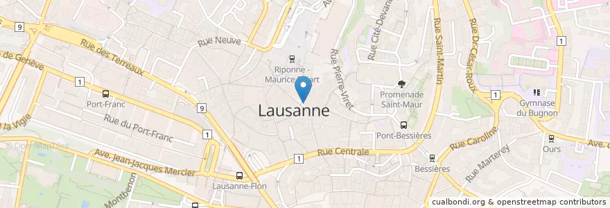 Mapa de ubicacion de Le Raisin en 스위스, Vaud, District De Lausanne, 로잔.