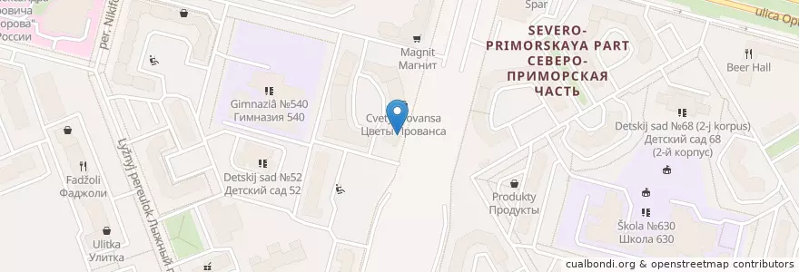 Mapa de ubicacion de Клиника Одинцова en Russland, Föderationskreis Nordwest, Oblast Leningrad, Sankt Petersburg, Приморский Район, Округ № 65.