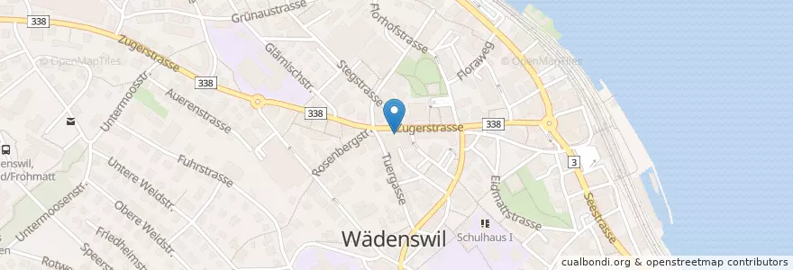 Mapa de ubicacion de Cafe City en 스위스, 취리히, Bezirk Horgen, Wädenswil.