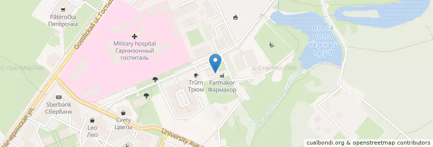 Mapa de ubicacion de Ветеринарная клиника en Russie, District Fédéral Du Nord-Ouest, Oblast De Léningrad, Saint-Pétersbourg, Петродворцовый Район, Peterhof.