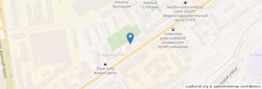 Mapa de ubicacion de Пекинская утка en Rusia, Сибирский Федеральный Округ, Wilayah Novosibirsk, Городской Округ Новосибирск.