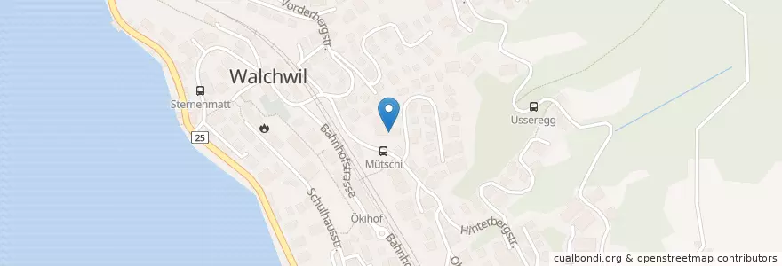 Mapa de ubicacion de Mütschi-Träff en Schweiz/Suisse/Svizzera/Svizra, Zug, Walchwil.