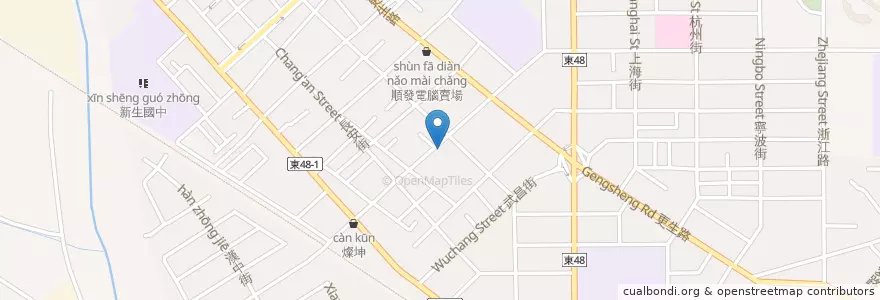 Mapa de ubicacion de 懷恩動物醫院 en 타이완, 타이완성, 타이둥현, 타이둥 시.