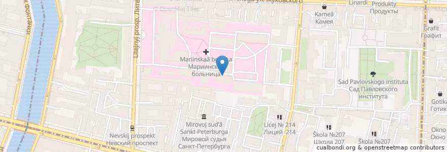Mapa de ubicacion de Мариинский буфетъ en Russia, Northwestern Federal District, Leningrad Oblast, Saint Petersburg, Центральный Район.