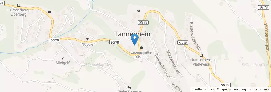 Mapa de ubicacion de Tannheim en Svizzera, San Gallo, Wahlkreis Sarganserland, Flums.