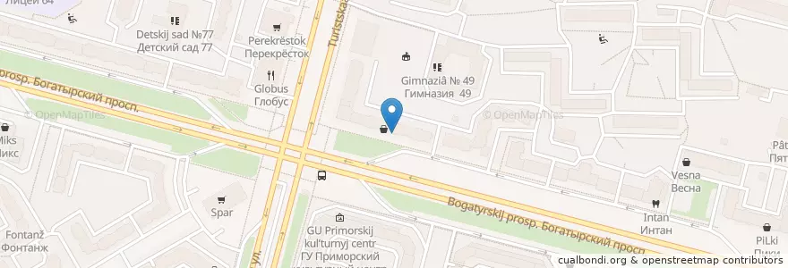 Mapa de ubicacion de Токио-City en Russie, District Fédéral Du Nord-Ouest, Oblast De Léningrad, Saint-Pétersbourg, Приморский Район, Округ № 65.