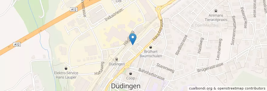 Mapa de ubicacion de Düdingen Bahnhof en 瑞士, Fribourg/Freiburg, Sensebezirk, Düdingen.