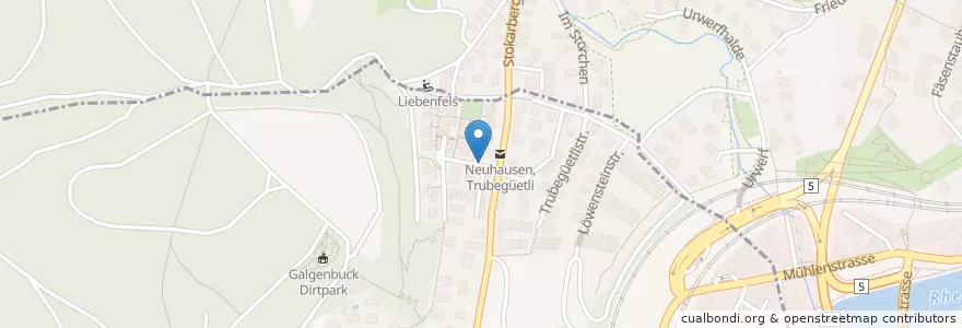 Mapa de ubicacion de Neuhausen a. Rheinfall Buchenstrasse en Schweiz/Suisse/Svizzera/Svizra, Schaffhausen, Schaffhausen.