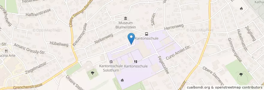 Mapa de ubicacion de Solothurn Kantonsschule en スイス, Solothurn, Amtei Solothurn-Lebern, Bezirk Lebern, Solothurn.