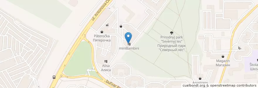 Mapa de ubicacion de miniBambini en ロシア, 中央連邦管区, Воронежская Область, Городской Округ Воронеж.