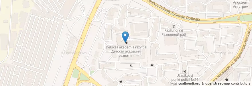 Mapa de ubicacion de Детская академия развития en Russia, Central Federal District, Voronezh Oblast, Voronezh.
