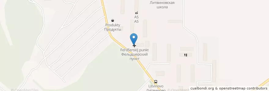 Mapa de ubicacion de Фельдшерский пункт en Russia, Central Federal District, Moscow Oblast, Shchyolkovsky District.