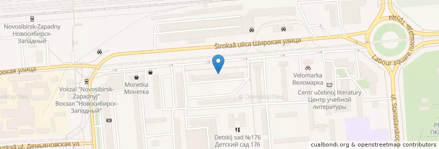 Mapa de ubicacion de Библиотека им. А.С. Пушкина en Russia, Siberian Federal District, Novosibirsk Oblast, Novosibirsk.