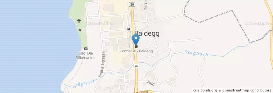 Mapa de ubicacion de Fischer AG Baldegg en Svizzera, Lucerna, Hochdorf.