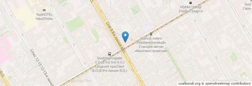 Mapa de ubicacion de Dew en Russie, District Fédéral Du Nord-Ouest, Oblast De Léningrad, Saint-Pétersbourg, Василеостровский Район, Васильевский Округ.