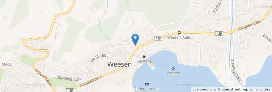 Mapa de ubicacion de Trattoria Walensee en Suisse, Saint-Gall, Wahlkreis See-Gaster, Weesen.