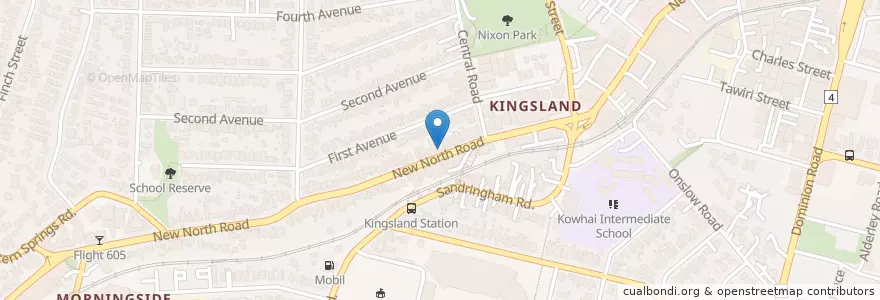 Mapa de ubicacion de Chems Kingsland Pharmacy en 뉴질랜드, Auckland, Albert-Eden.