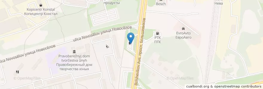 Mapa de ubicacion de Роснефть en Russia, Northwestern Federal District, Leningrad Oblast, Saint Petersburg, Nevsky District, Народный Округ.