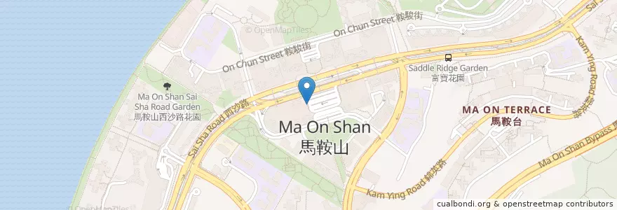 Mapa de ubicacion de 公眾單車泊位 en الصين, هونغ كونغ, غوانغدونغ, الأقاليم الجديدة, 沙田區 Sha Tin District.