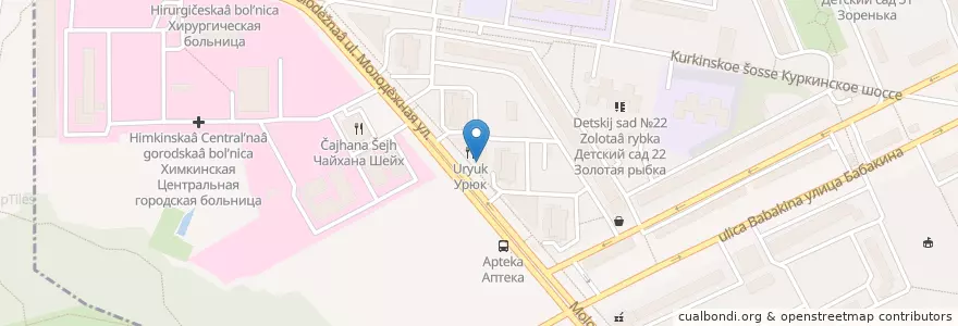 Mapa de ubicacion de Бургер Кинг en Россия, Центральный Федеральный Округ, Москва, Городской Округ Химки.