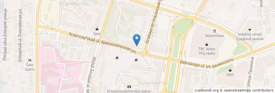 Mapa de ubicacion de Аптека Ригла en Russie, District Fédéral De La Volga, Oblast De Nijni Novgorod, Городской Округ Нижний Новгород.