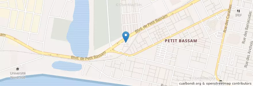 Mapa de ubicacion de Station Service Oilibya Petit Bassam en Elfenbeinküste, Abidjan, Port-Bouët.