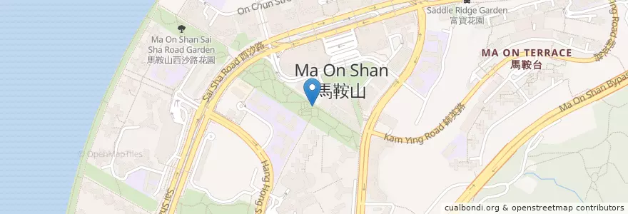Mapa de ubicacion de 公眾單車泊位 en چین, هنگ‌کنگ, گوانگ‌دونگ, 新界 New Territories, 沙田區 Sha Tin District.
