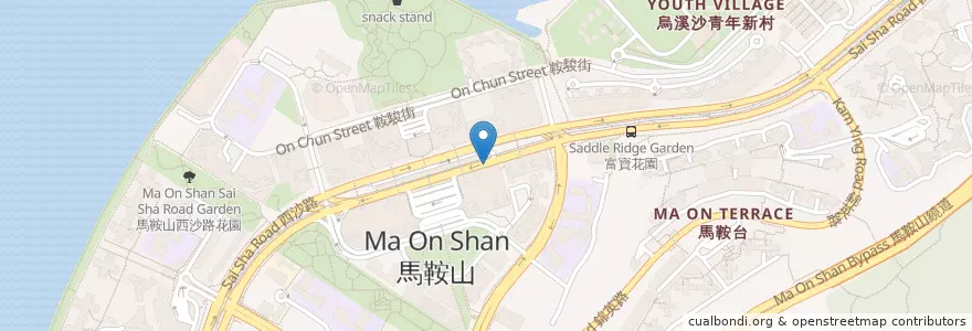 Mapa de ubicacion de 公眾單車泊位 en 중국, 홍콩, 광둥성, 신제, 沙田區 Sha Tin District.