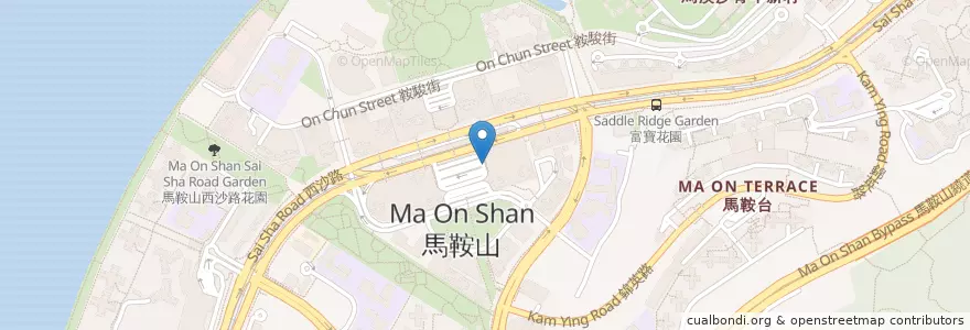 Mapa de ubicacion de 公眾單車泊位 en 中国, 香港, 广东省, 新界, 沙田區.
