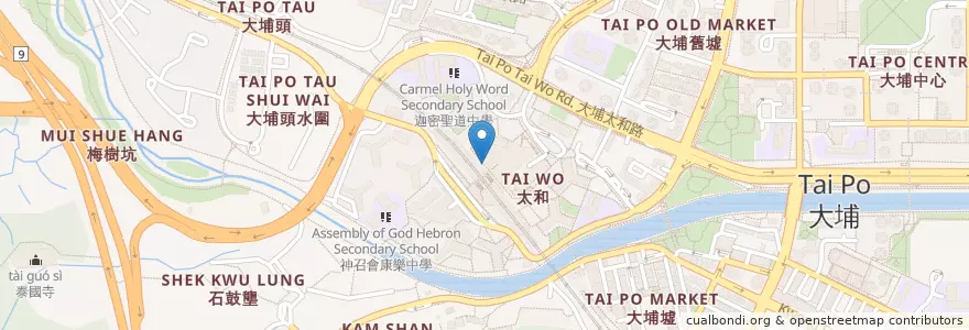 Mapa de ubicacion de 公眾單車泊位 en Çin, Hong Kong, Guangdong, Yeni Bölgeler, 大埔區 Tai Po District.