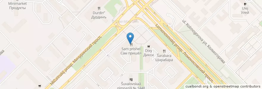 Mapa de ubicacion de Сам пришёл en Rusia, Distrito Federal Central, Москва, Западный Административный Округ, Район Раменки.