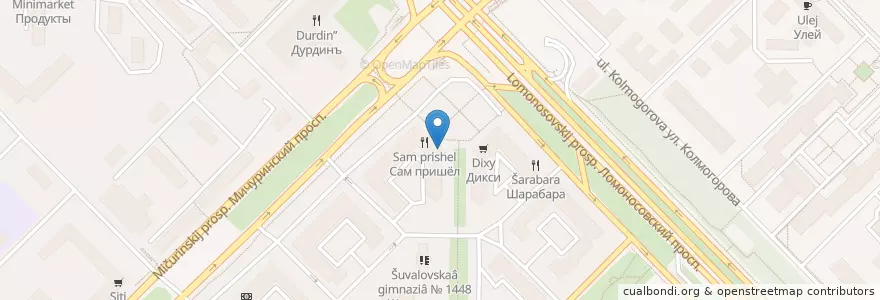 Mapa de ubicacion de Инвестиционный торговый банк en Rússia, Distrito Federal Central, Москва, Западный Административный Округ, Район Раменки.