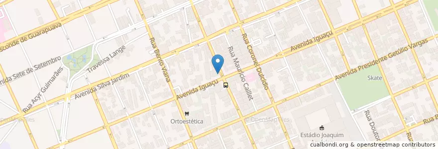 Mapa de ubicacion de Panvel en 巴西, 南部, 巴拉那, Região Geográfica Intermediária De Curitiba, Região Metropolitana De Curitiba, Microrregião De Curitiba, 库里蒂巴.