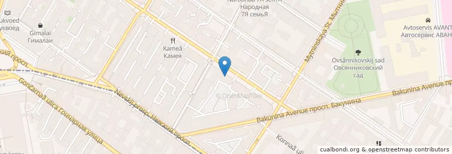 Mapa de ubicacion de Бакунин en 俄罗斯/俄羅斯, Северо-Западный Федеральный Округ, 列宁格勒州, Санкт-Петербург, Центральный Район.