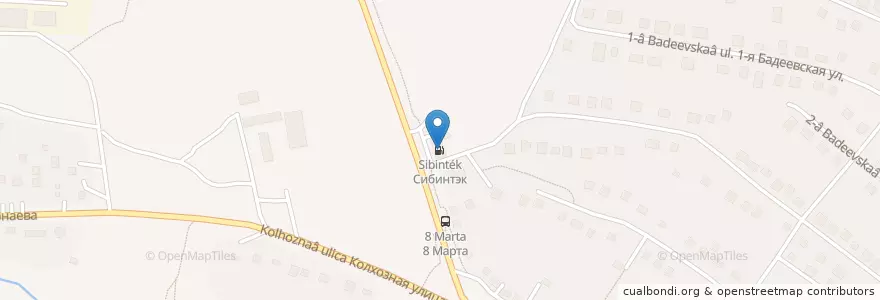 Mapa de ubicacion de Сибинтэк en Россия, Центральный Федеральный Округ, Московская Область, Городской Округ Чехов.