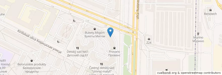 Mapa de ubicacion de Тонус Start-club en Rusland, Северо-Западный Федеральный Округ, Oblast Leningrad, Sint-Petersburg, Калининский Район, Округ № 21.