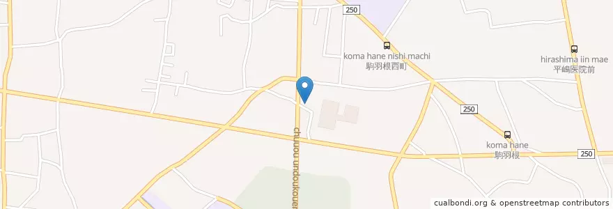Mapa de ubicacion de 安藤整形外科 en 日本, 茨城県, 古河市.