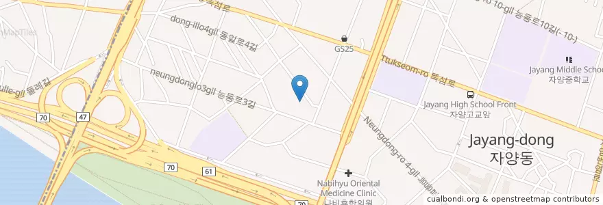 Mapa de ubicacion de Jayangje 4 Dong Library en South Korea, Seoul, Gwangjin-Gu, Jayang 4(Sa)-Dong.