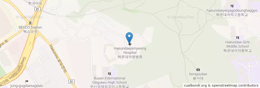 Mapa de ubicacion de 해운대자명병원 en Korea Selatan, 부산, 해운대구, 우동.