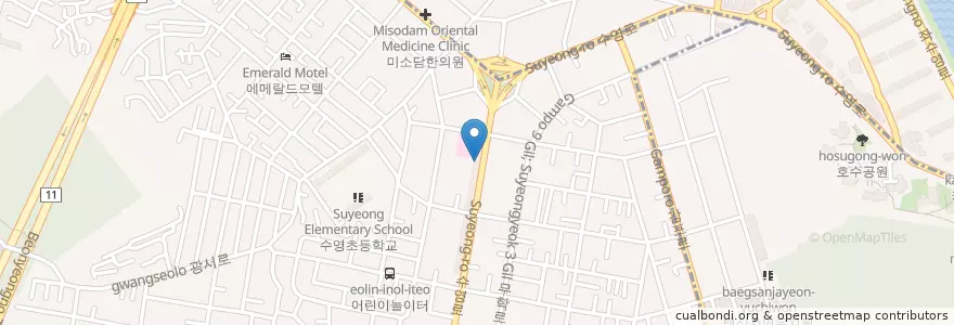 Mapa de ubicacion de 부산고려병원 척추측만증클리닉 en كوريا الجنوبية, بسان, 수영구, 광안동.