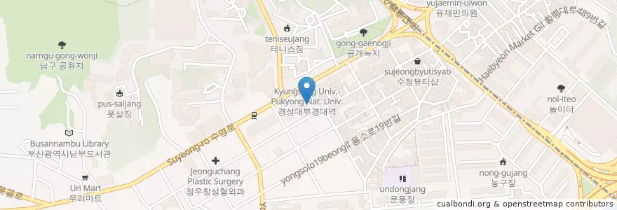 Mapa de ubicacion de 튼튼동물병원 en 大韓民国, 釜山, 南区, 大淵洞.