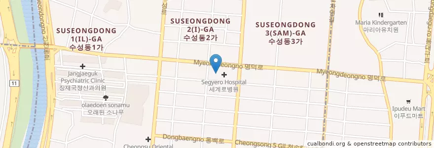 Mapa de ubicacion de 수성연합정형외과의원 en 韩国/南韓, 大邱, 壽城區, 수성동.