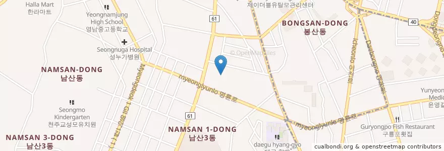 Mapa de ubicacion de 고려동물병원 en Güney Kore, Daegu, 중구, 남산동.